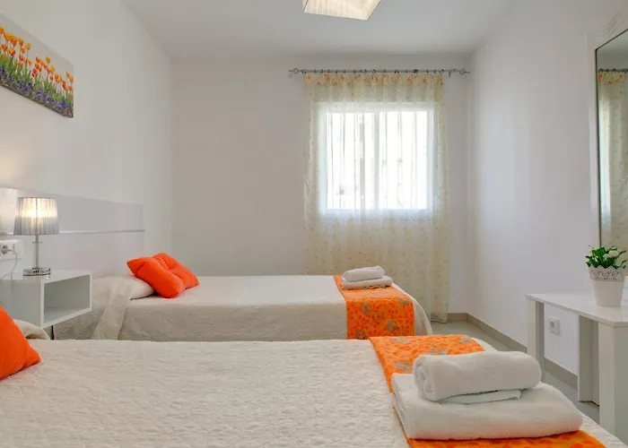 Palmeras * ネルハ